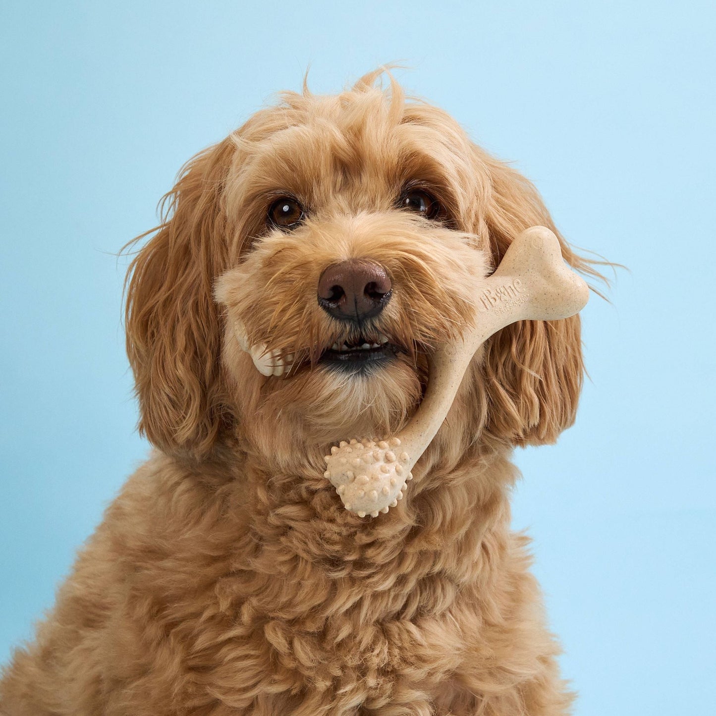 BetterBone LIGHT Chew Toy