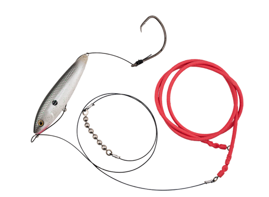 Gatto Loco Catfish Rig