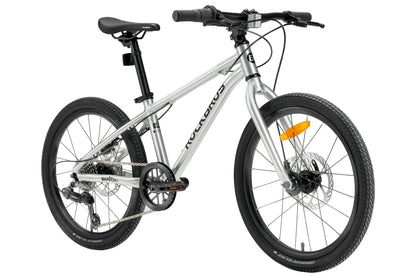 Darwin III 20-Inch Kids Bike