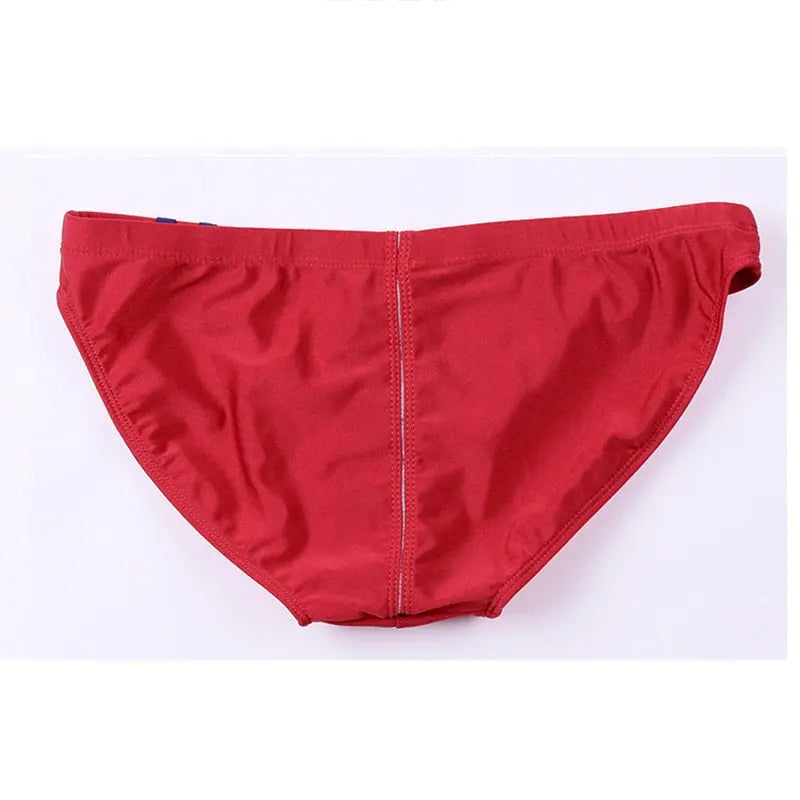Desmiit Low Rise Metallic Low Cut Swim Brief