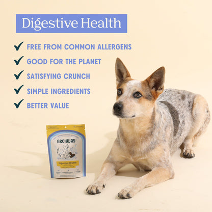 Digestive Health