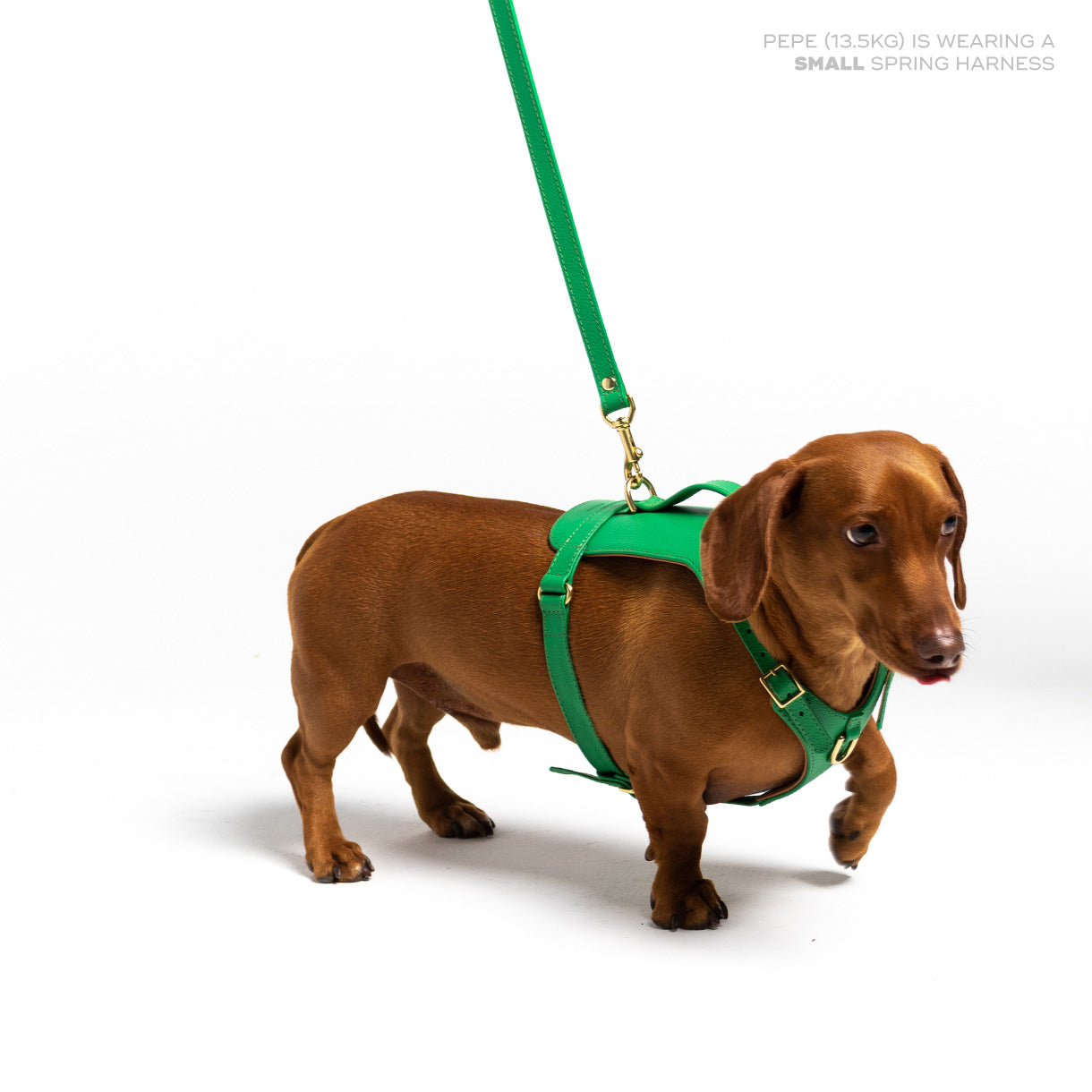 Spring Heritage Harness