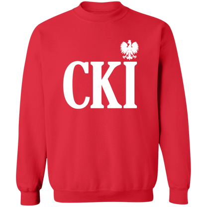 CKI Polish Surname Ending
