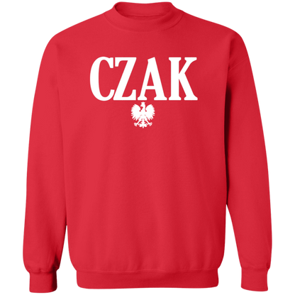 CZAK Polish Surname Ending