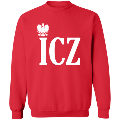 ICZ Polish Surname Ending