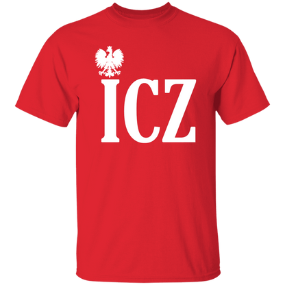 ICZ Polish Surname Ending