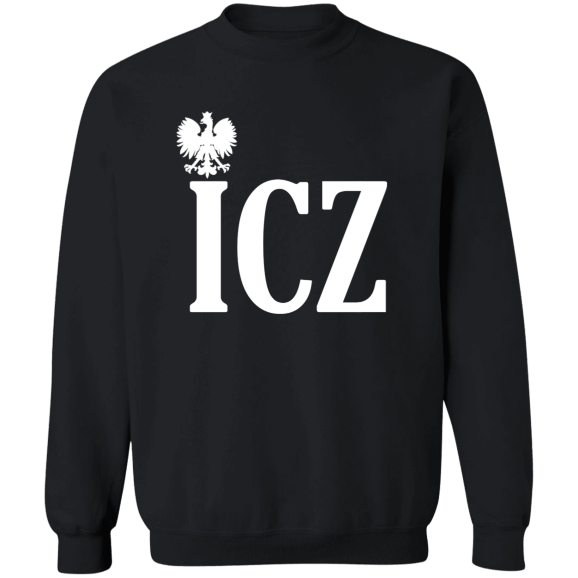 ICZ Polish Surname Ending