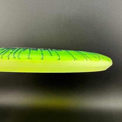 I-Dye Champion Aviar