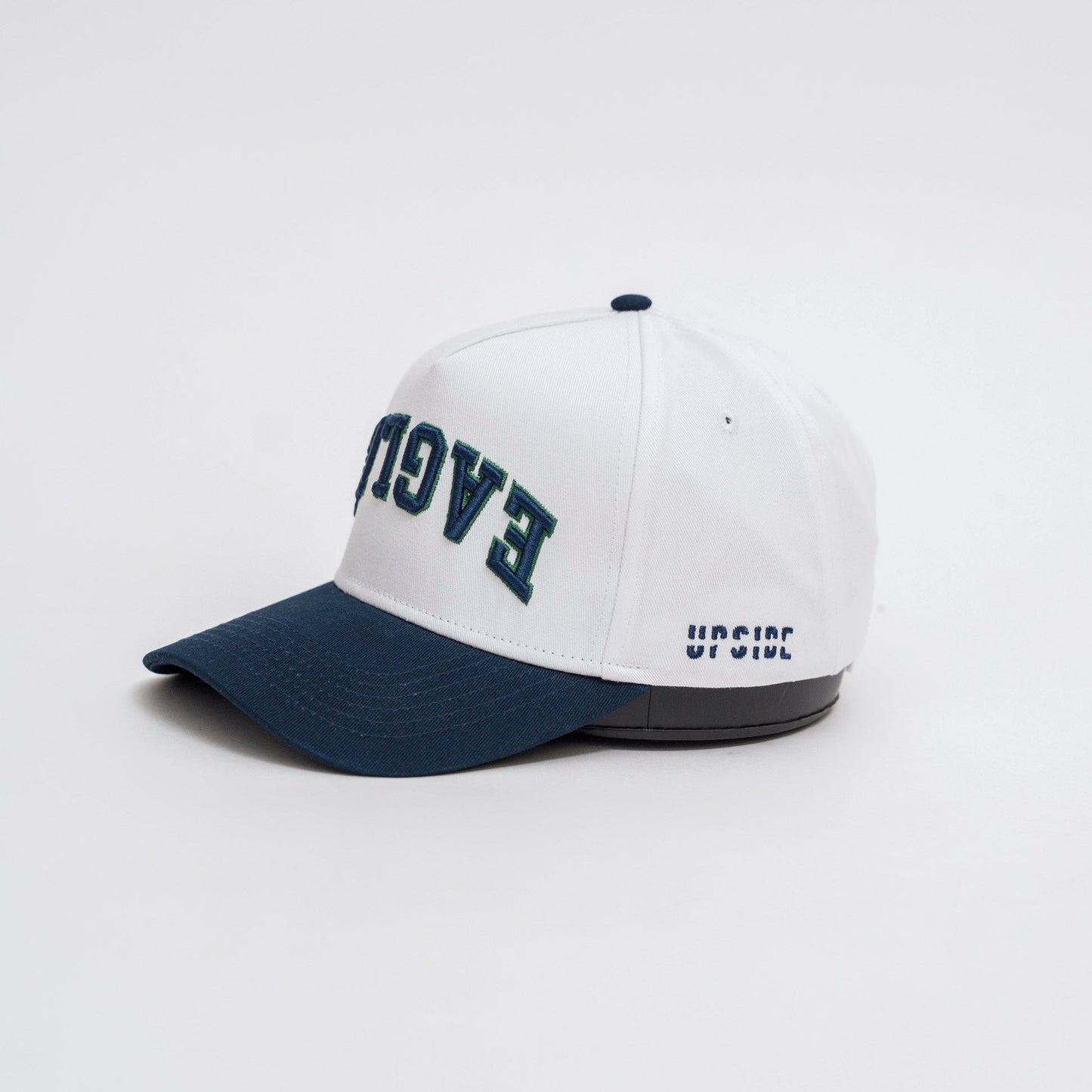 FGCU Eagles Hat