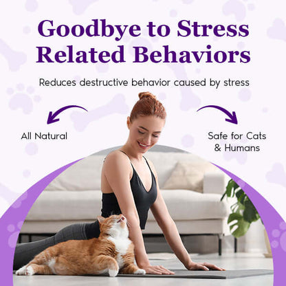 Purrfect Cat Calming Diffuser Kit with 2 Refills