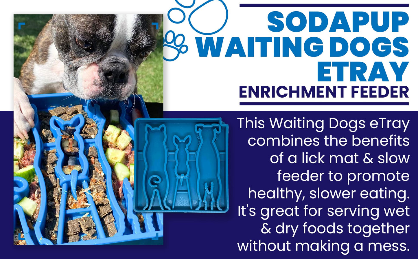 Waiting Dogs eTray - Shallow Slow Feeder Bowl for Enrichment | USA Made