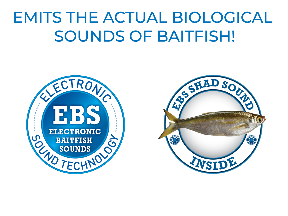 School Master Salt Water