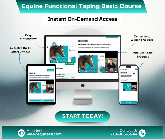 Equine Functional Taping Basic Course — Horse Owners