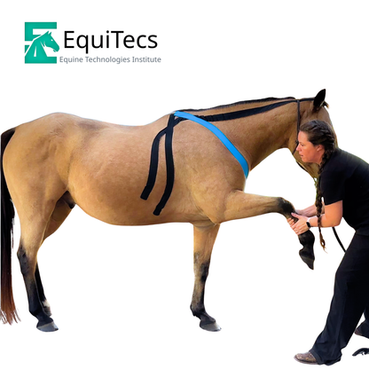 Horse Functional Taping Tape — 2-Way 2" Single Roll