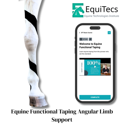 EquiTecs EFT Application Library - App
