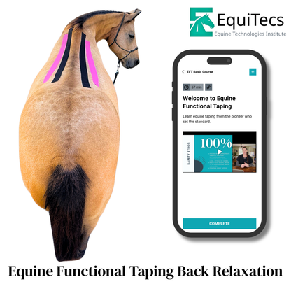 EquiTecs EFT Application Library - App