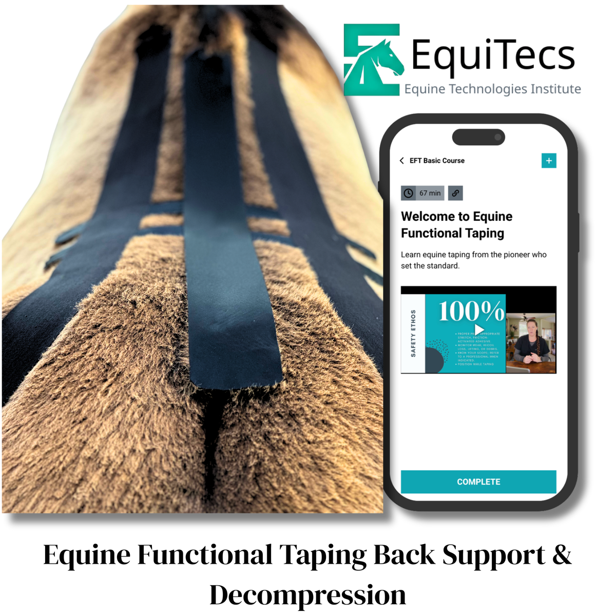 EquiTecs EFT Application Library - App