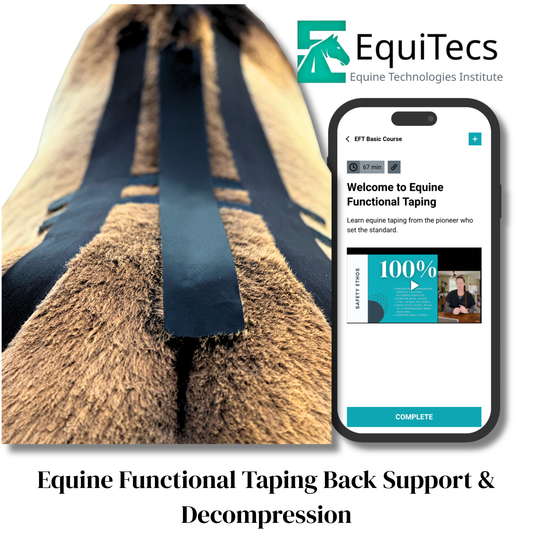 EFT Back Support & Decompression