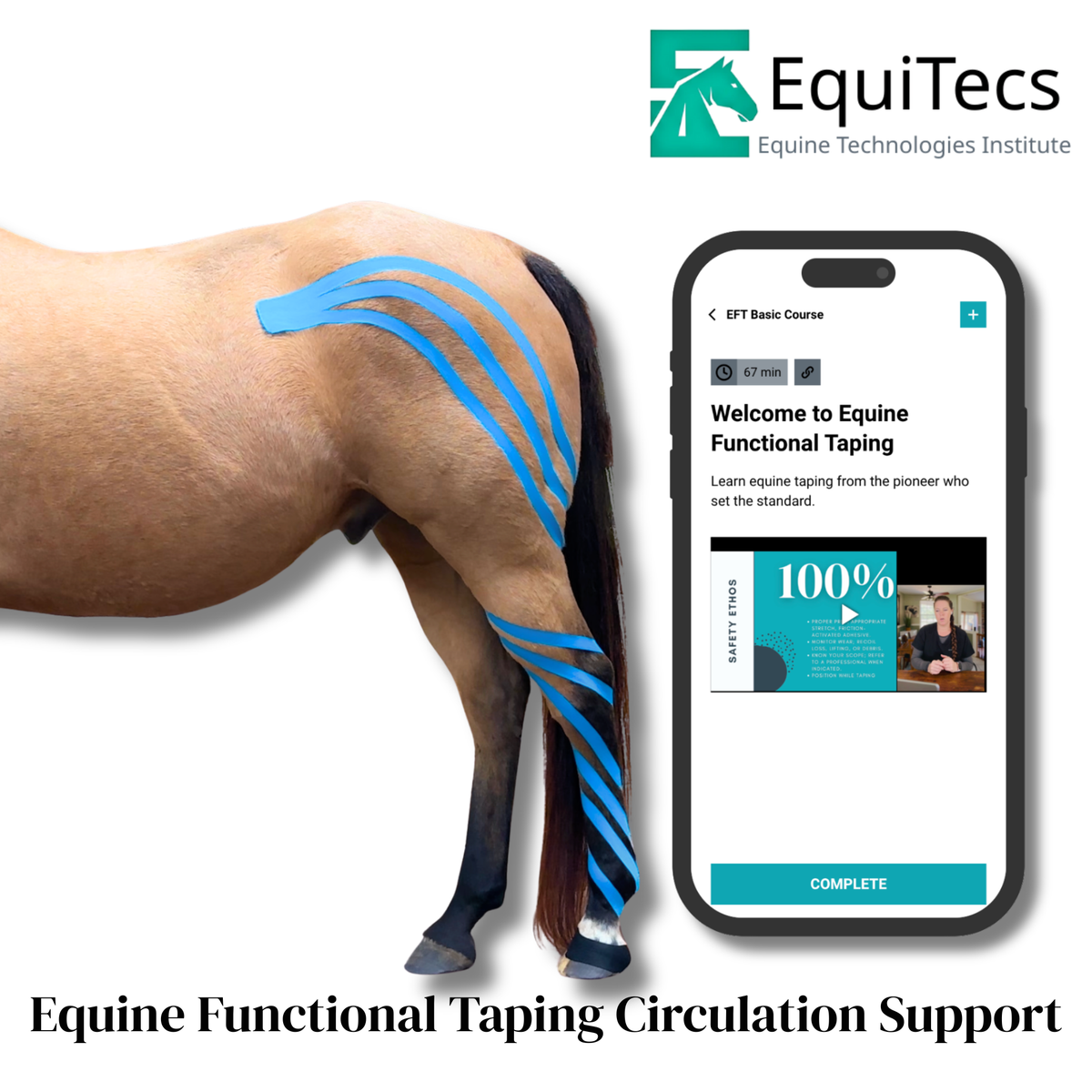 EquiTecs EFT Application Library - App