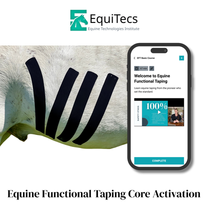 EquiTecs EFT Application Library - App
