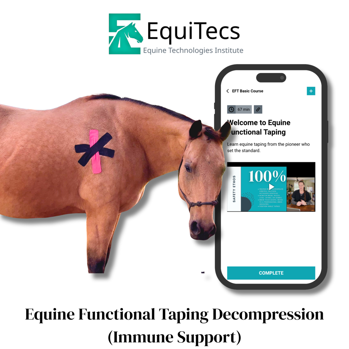 EquiTecs EFT Application Library - App