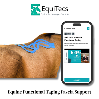 Equine Functional Taping Certification Course — 20 CE Hours