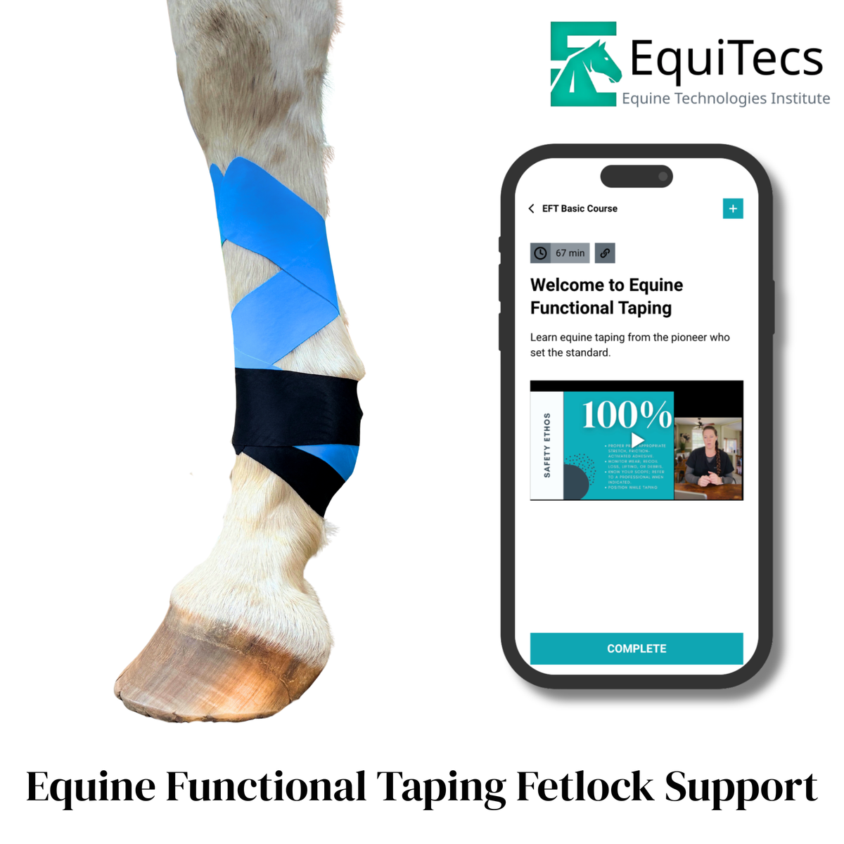 Equine Functional Taping Certification Course — 20 CE Hours
