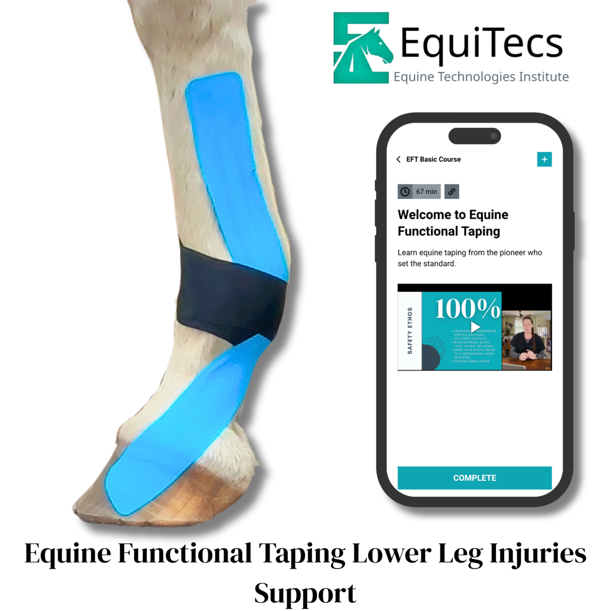 EquiTecs EFT Application Library - App