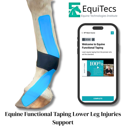 EquiTecs EFT Application Library - App