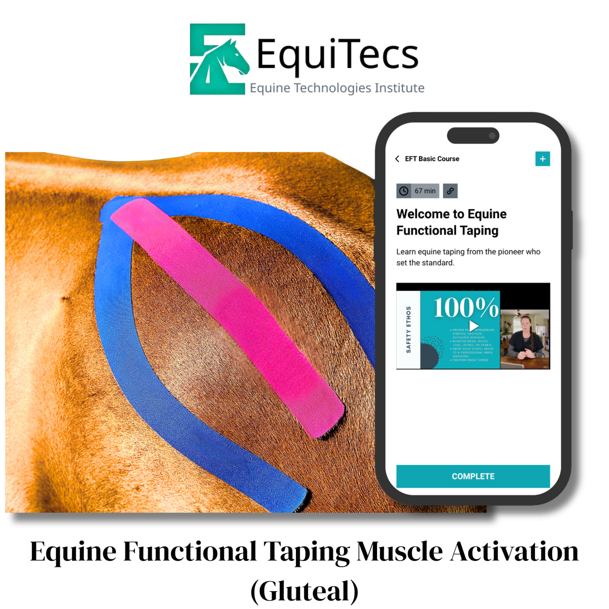 EquiTecs EFT Application Library - App