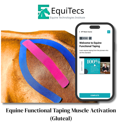 EquiTecs EFT Application Library - App