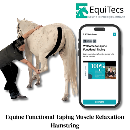 EquiTecs EFT Application Library - App