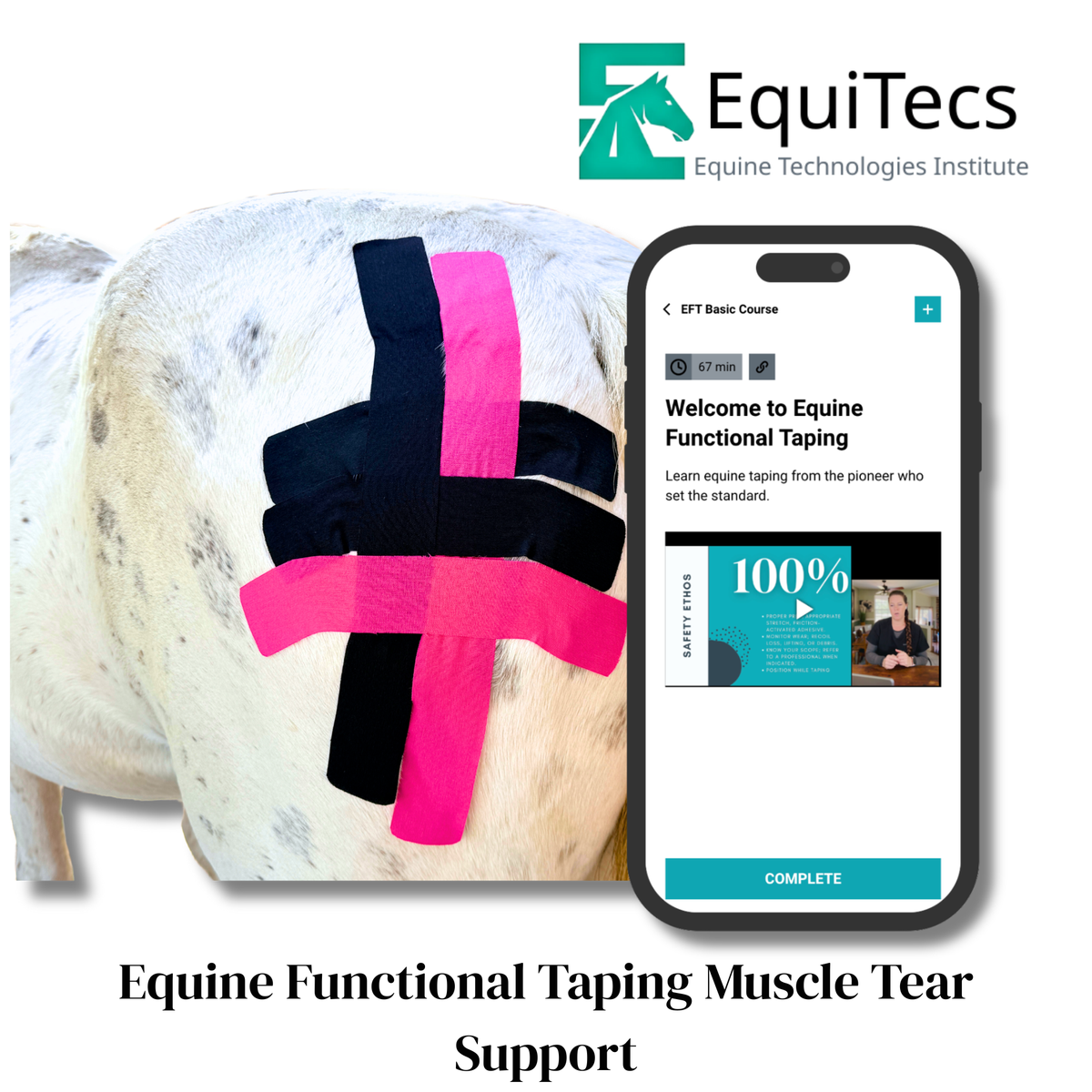EquiTecs EFT Application Library - App