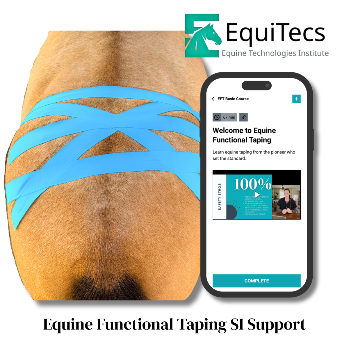EquiTecs EFT Application Library - App