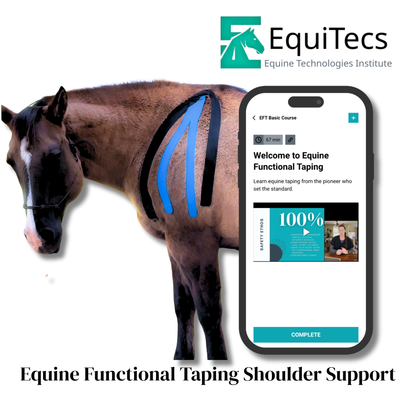 EquiTecs EFT Application Library - App
