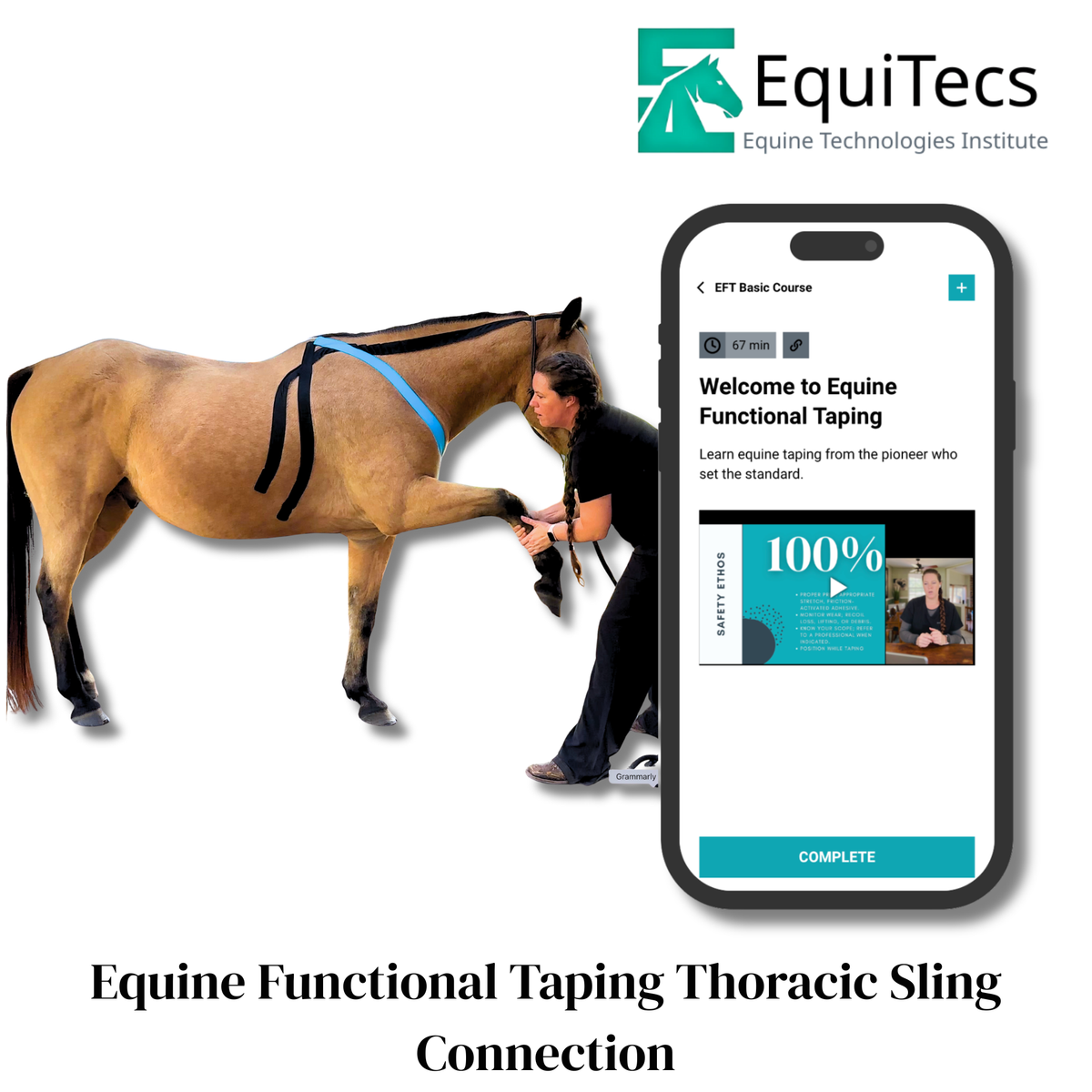 EquiTecs EFT Application Library - App