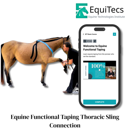 EquiTecs EFT Application Library - App