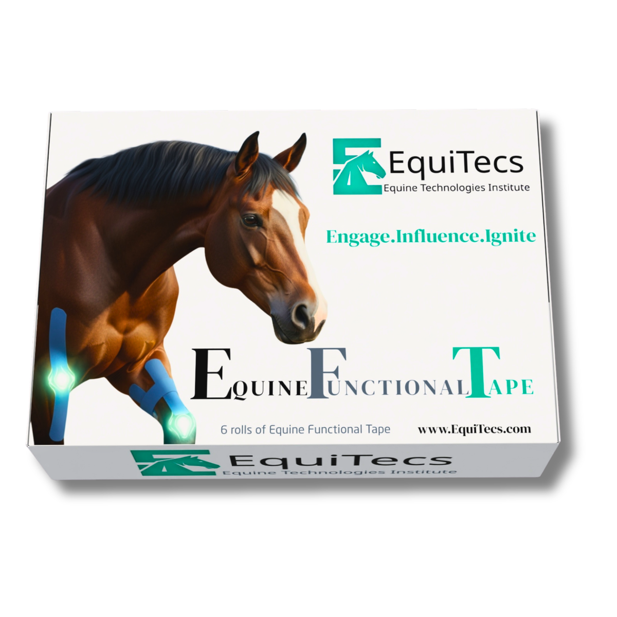 Horse Functional Taping Tape — 2-Way 3" Color Pack