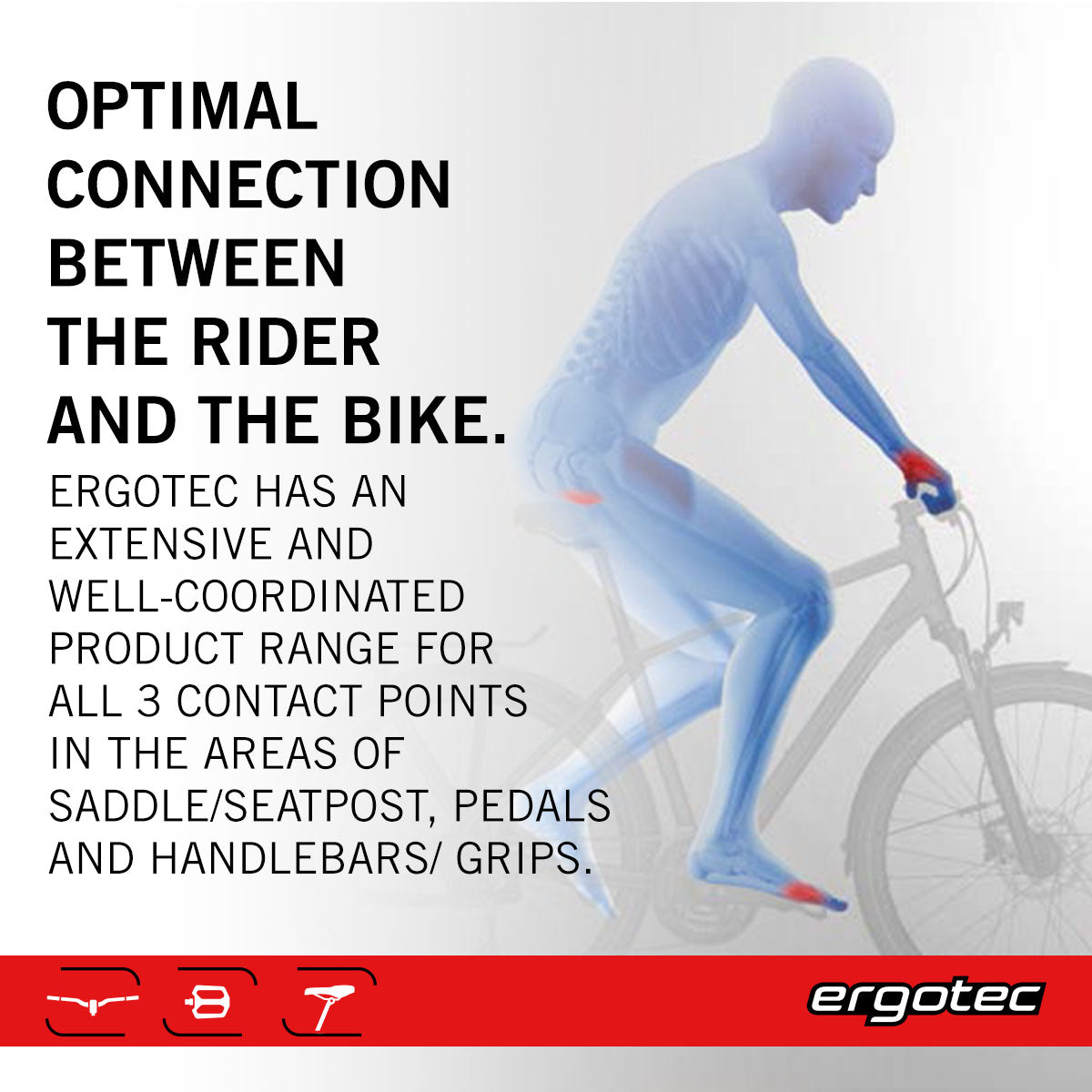 Ergotec - EP-Cargo - Pedals