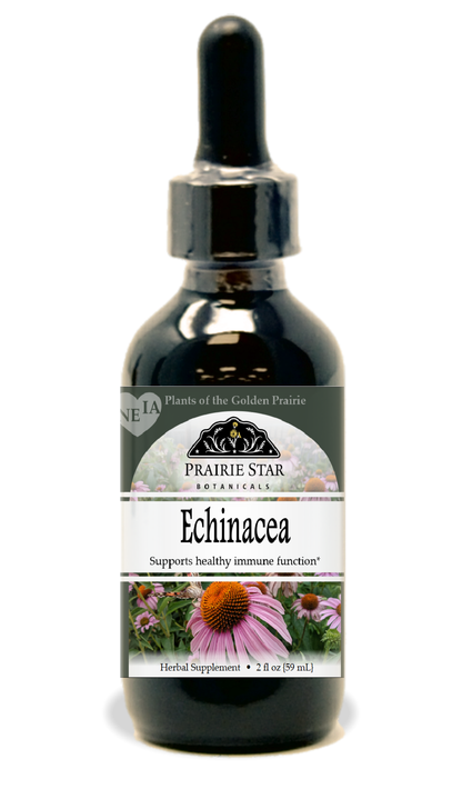 Echinacea