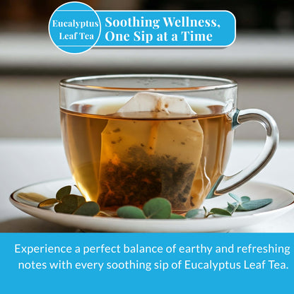 Akshit Eucalyptus Tea Bags - 75 Count, From Pure Eucalyptus Leaves - Perfect for Relaxation
