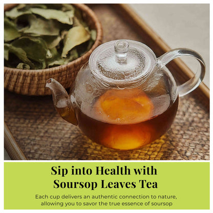200+ Premium Dried Soursop Graviola Leaves Tea – 2.6 oz , 100% Natural Soursop Tea, Caffeine-Free Herbal Tea (Hoja Guanabana)