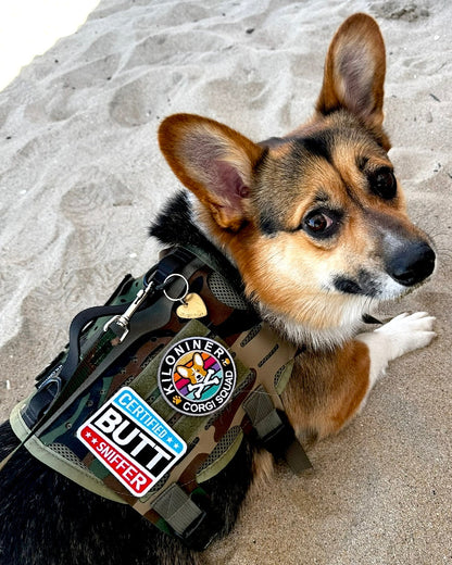 Kiloniner Corgi Squad Morale Patch