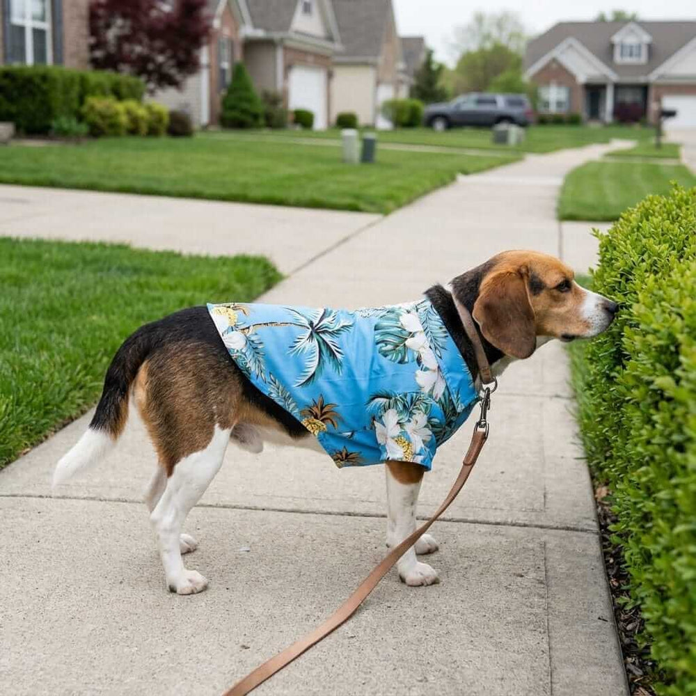Tropical Print Dog Beach Shirt