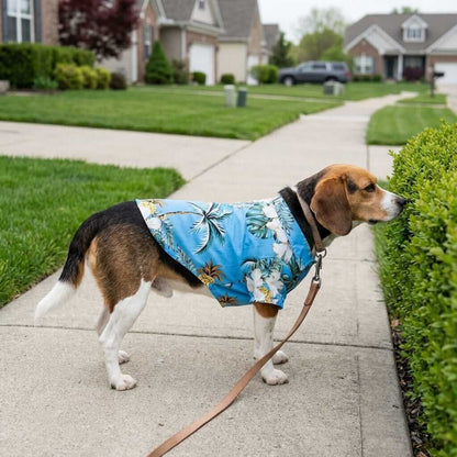 Tropical Print Dog Beach Shirt