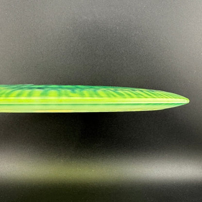 I-Dye Champion Roadrunner