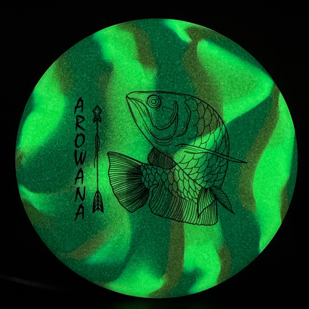 glO-G Arowana