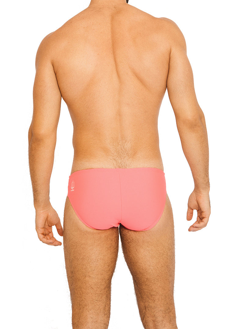 FAST EDDIE SWIM BRIEF