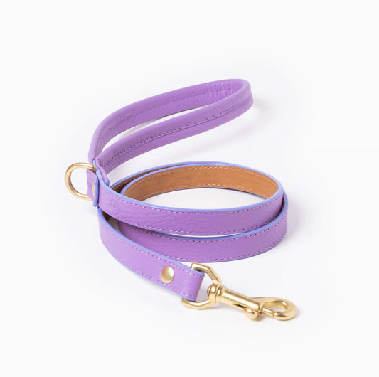 Fairy Leash
