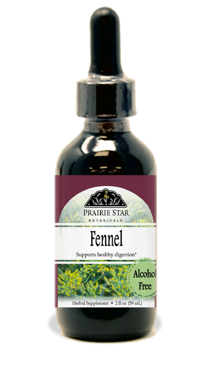 Fennel Seed